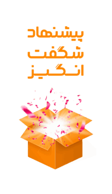 چیکان شاپ